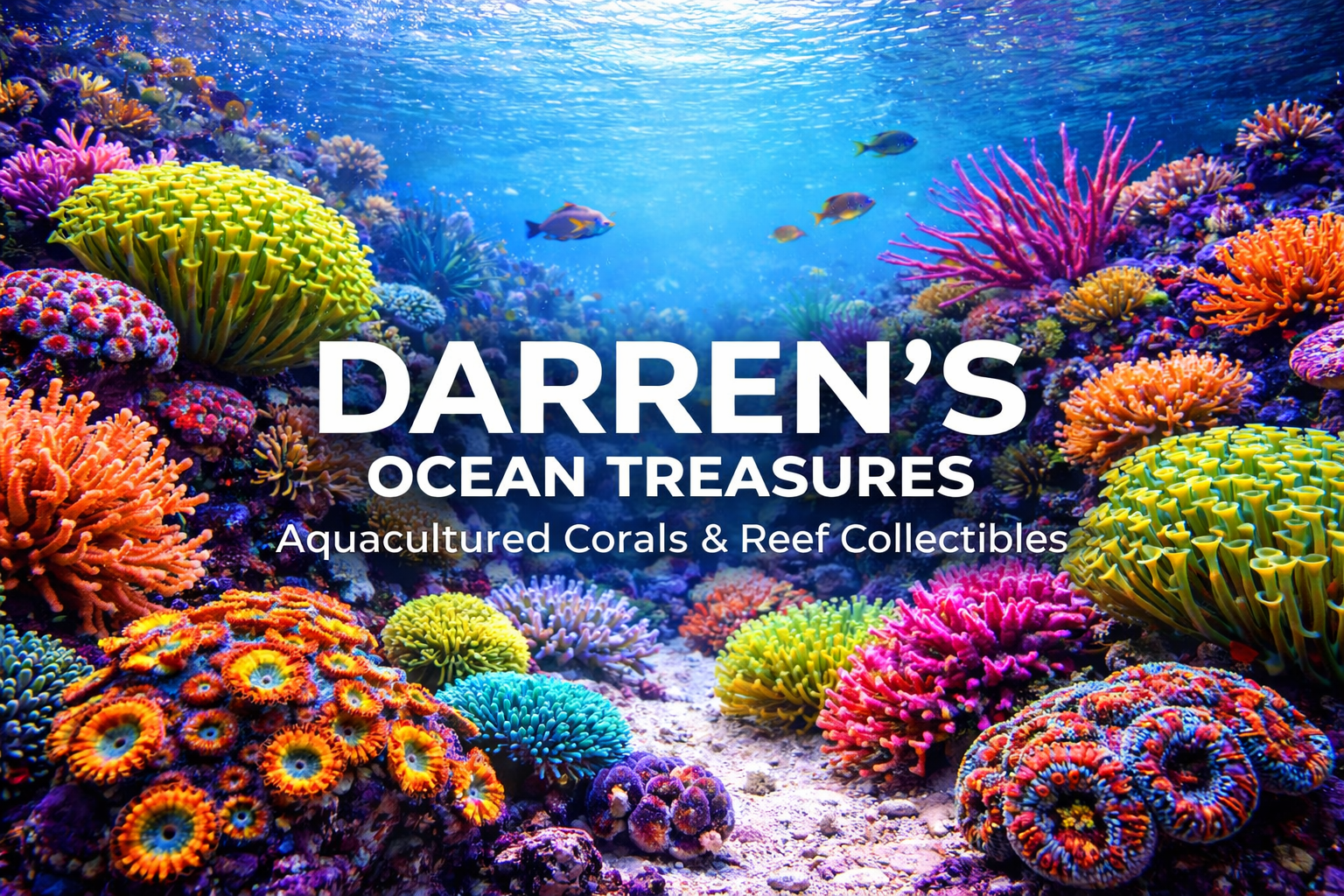 Colorful coral reef with text overlay 'Darren's Ocean Treasures' and 'Aquacultured Corals & Reef Collectibles'.